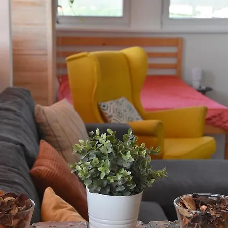 Panorama View Family *